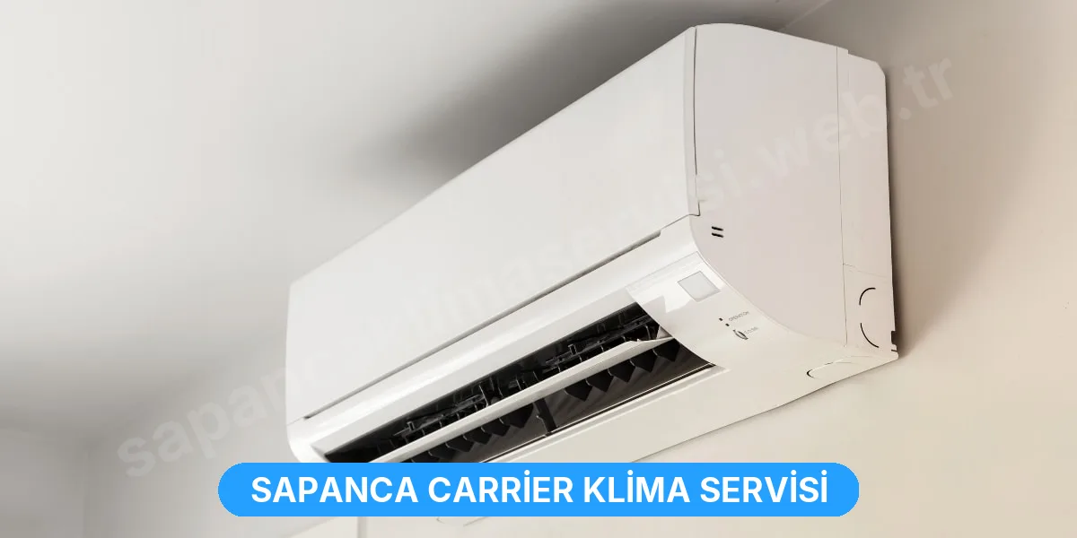 Sapanca Carrier Klima Servisi